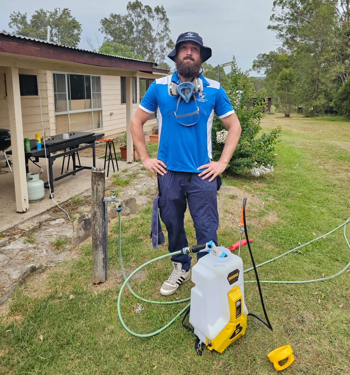 Spider pest control