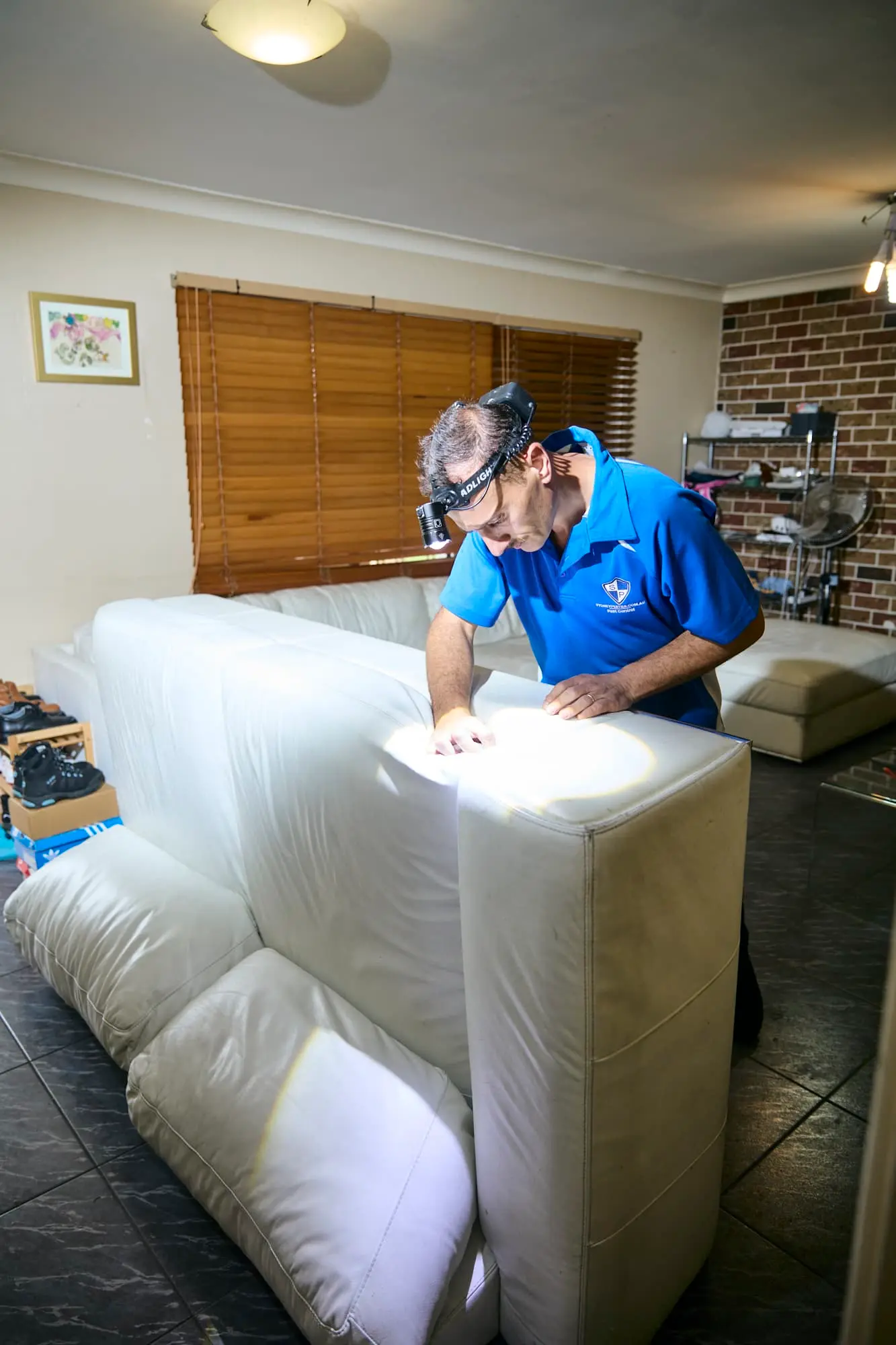 Bed Bugs Removal Bossley Park
