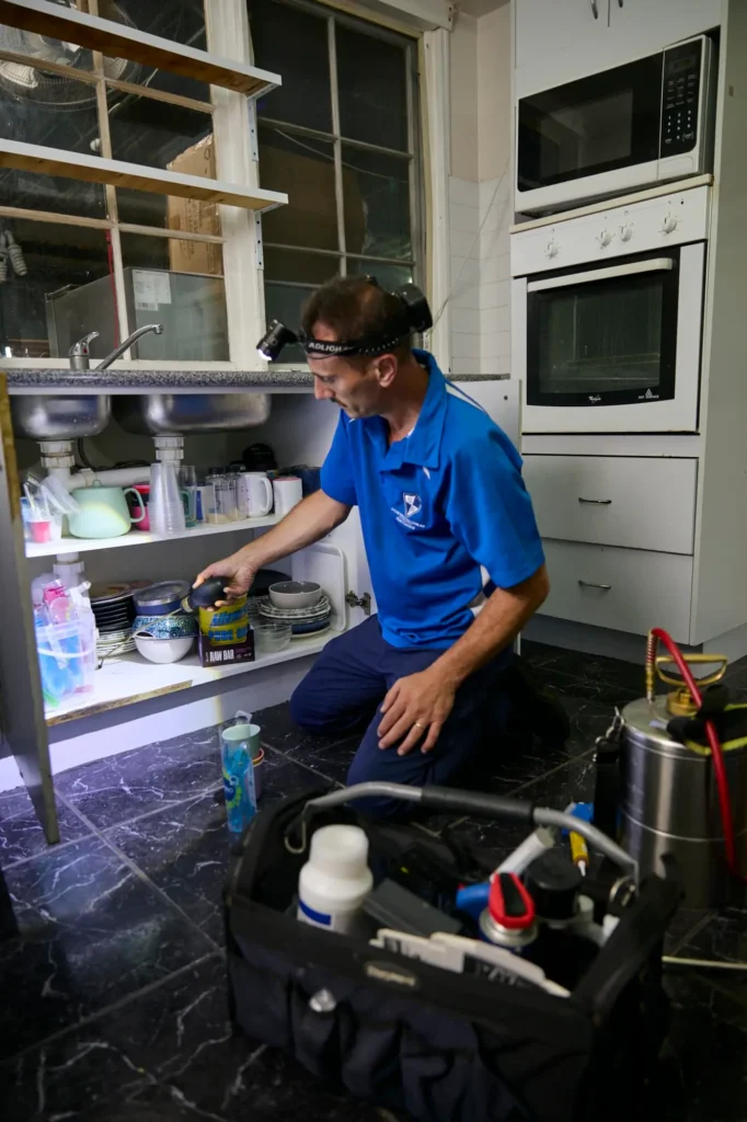 Cockroach Control Toongabbie